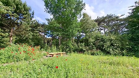 Bankje op de natuurbegraafplaats