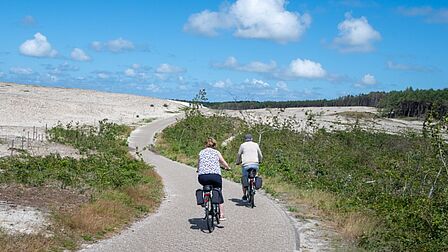 Fietsers in duingebied