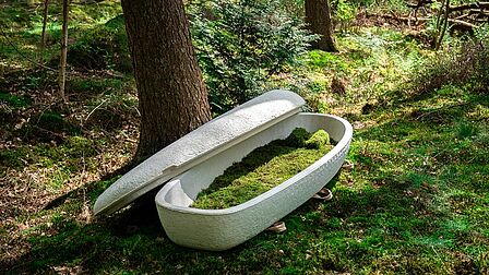 Duurzame kist van mycelium